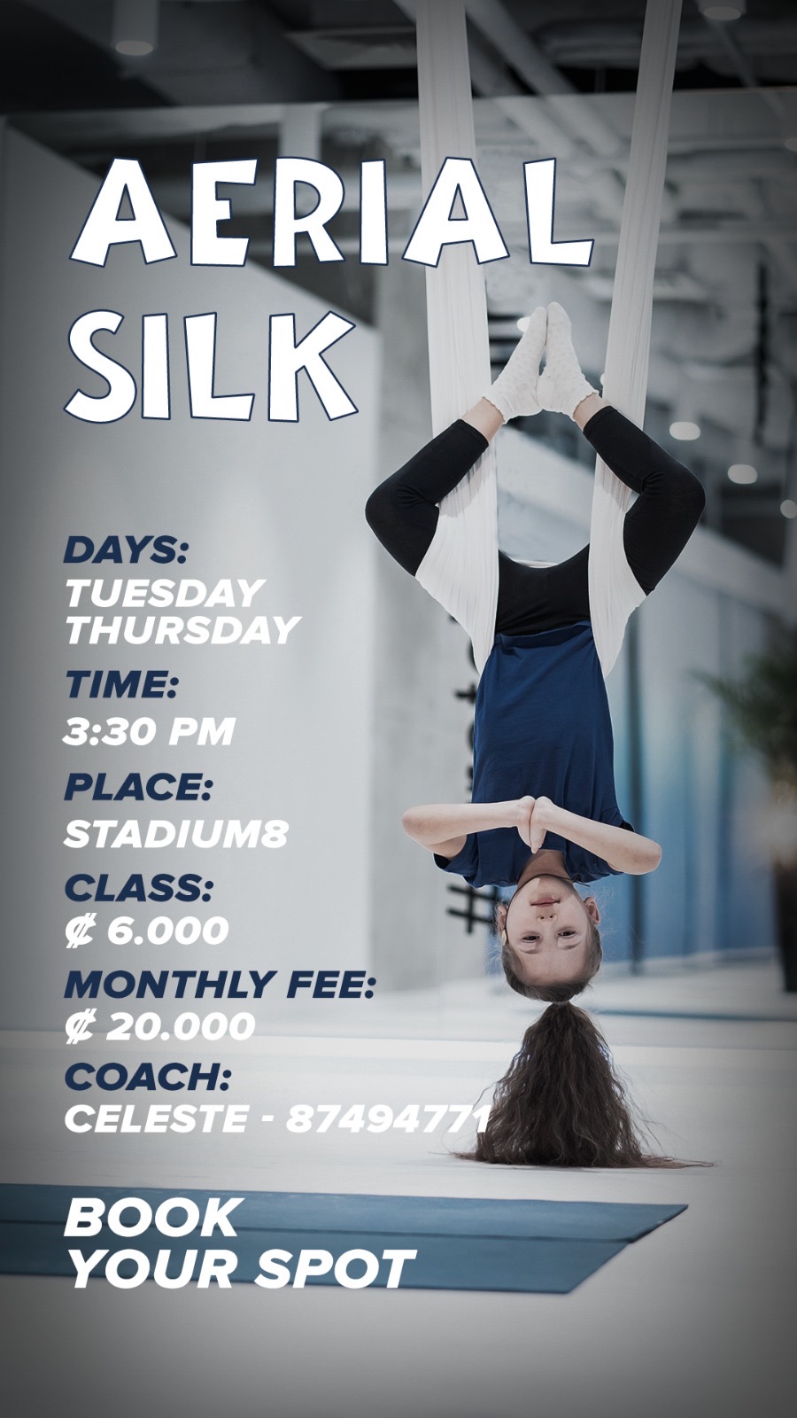 Aerial Silk